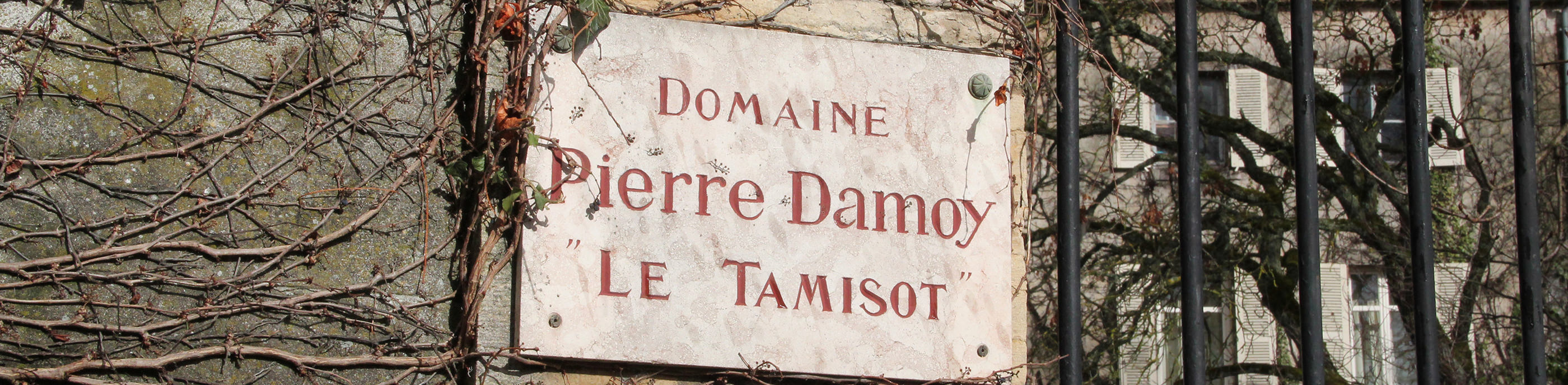 Domaine Pierre Damoy