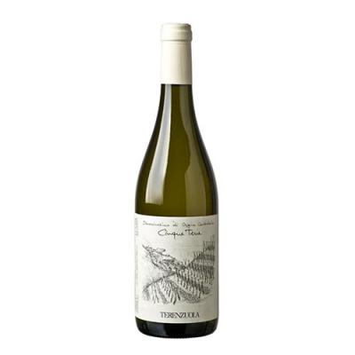 Bottiglia di Terenzuola - Cinque Terre Bianco - 2019